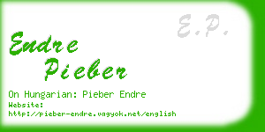 endre pieber business card